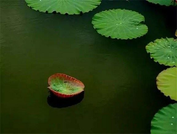 人心不足蛇吞象啊，所以一定要控制好欲望，知足常乐