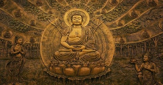 天下最大恶行就是杀生