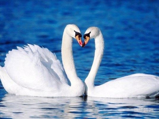 只要真信切愿，没有一个不往生