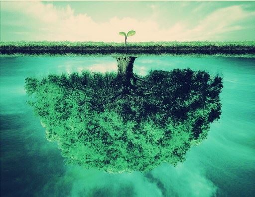 成熟的人：少说三种话，多做三件事