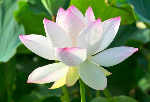 人生有多长？佛说：只在呼吸之间！