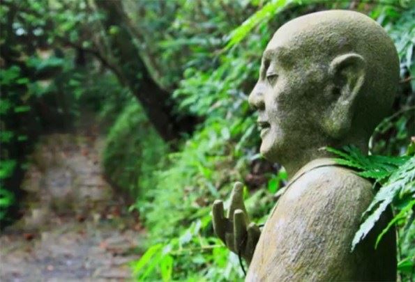 学会忏悔，努力让生活更美好