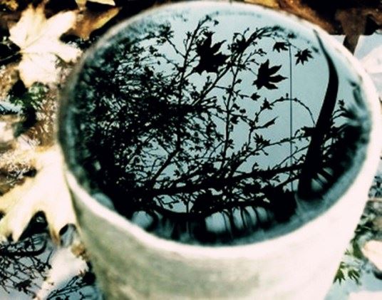 饿鬼真实存在吗？