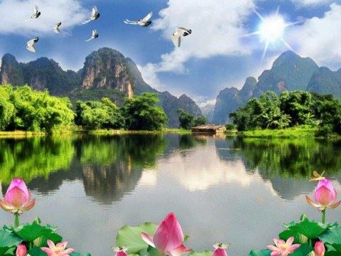 常敏法师答：“闻说阿弥陀佛，执持名号....”是自力还是他力？