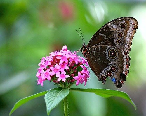 任何众生，哪怕一只小小蚂蚁，都是我们恩人，都是我们福田
