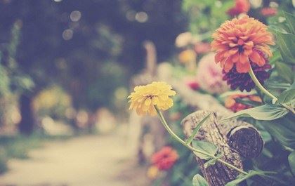 女子当众由少女变成老妇全身化脓而死