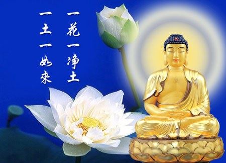 破坏佛教有报应吗？什么是“菩萨畏因众生畏果”？