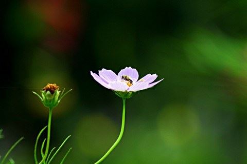 性格决定面相，美貌也是一种福报