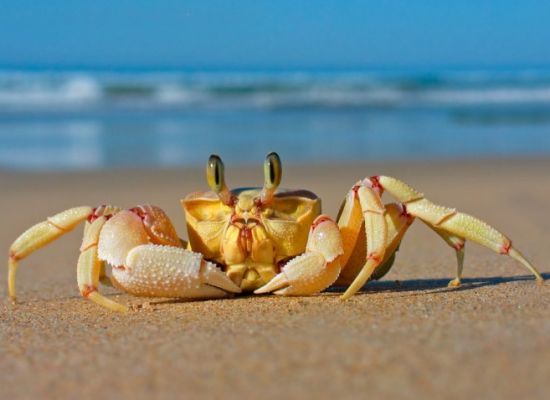 皈依三宝以后我们该诵读什么经书？学什么法？