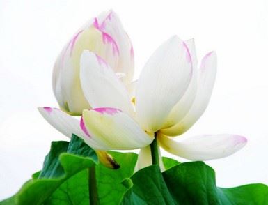 佛在此地告诉我们，如何得财富