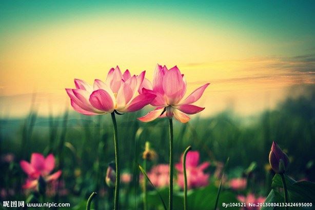 为什么像我这样善良的人会感到痛苦，而那些恶人却活得很好？