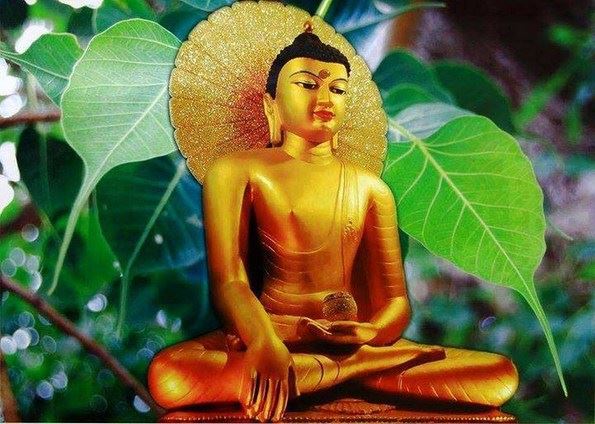 法师开示：学佛怎么才算是真正开悟？