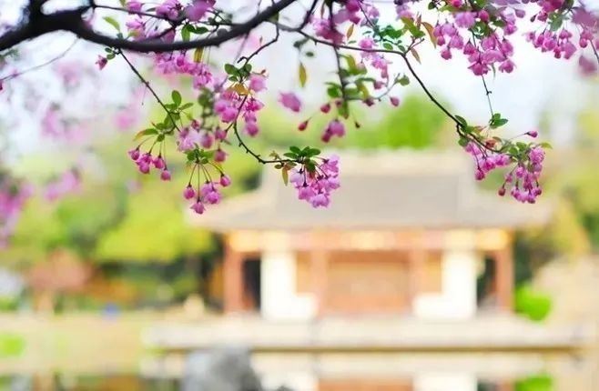 当你看透一切时（经典感悟！）