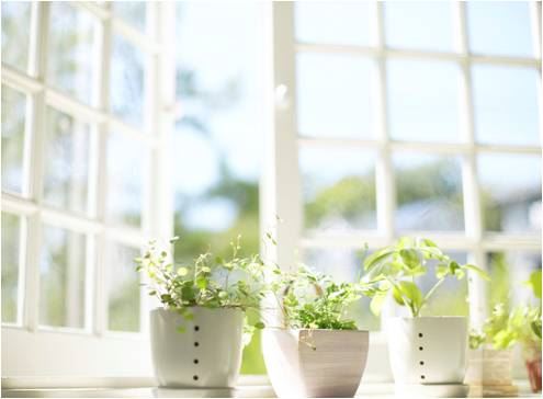 一念弥陀，头顶放光