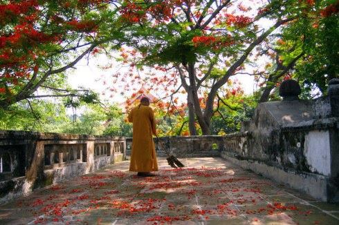 容易和观音菩萨感应的人