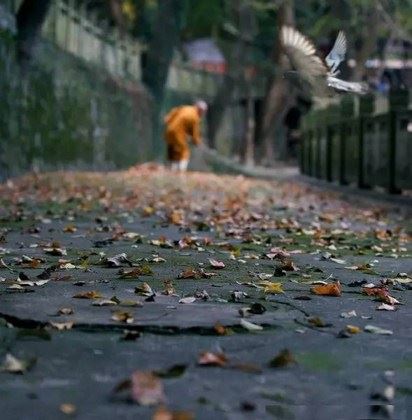 如果夫妇没法再相处，是离婚，还是忍耐痛苦？