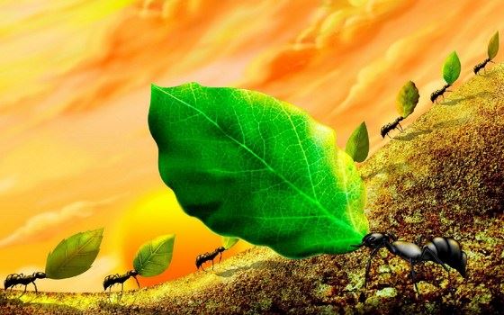 莲花生大师生平与佛经授记