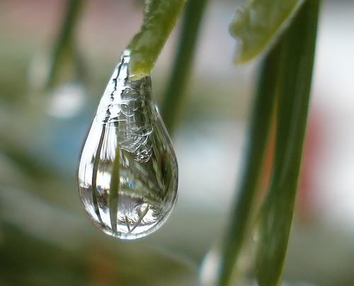 佛教所说的“因果”论有哪些特点？