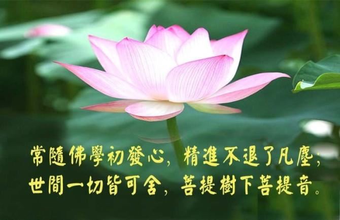 佛教修行理论的基础知识