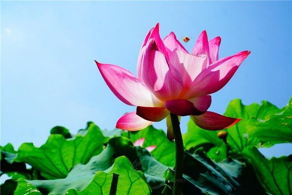 如何通过学佛改变自己贫穷的命运？