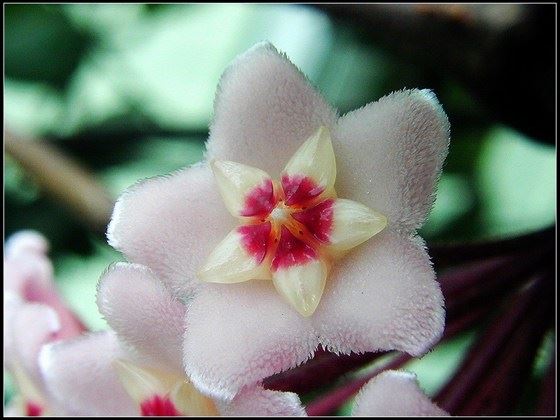 我从实践中，感到《金刚经》中最重要的三个字