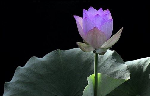 缺憾是人生之常态，不必太在意~