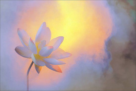 百岁老人放生七十年的神奇经历