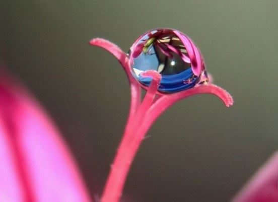 佛学必知：和尚与法师傻傻分不清楚？