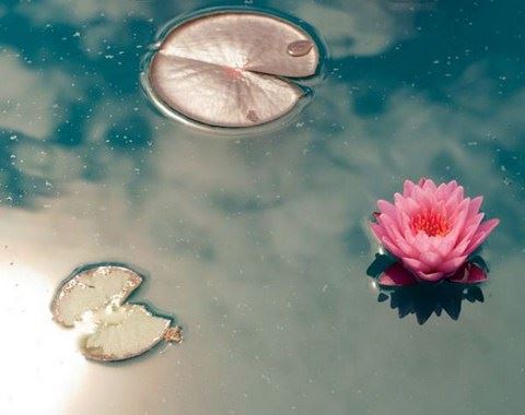 子宫癌！我的一位大学同学的邪淫恶报！