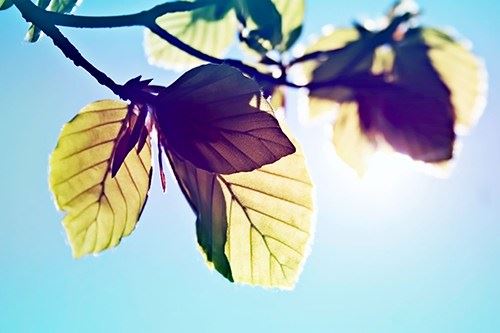 佛法对是非善恶的判断是依何为标准？