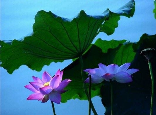 吃亏也是一种幸福