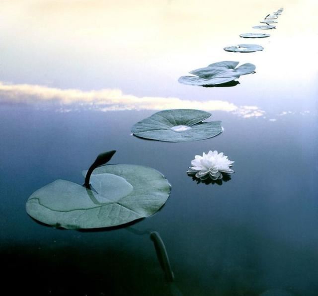 培养对善法的欲望才能对治个人私欲