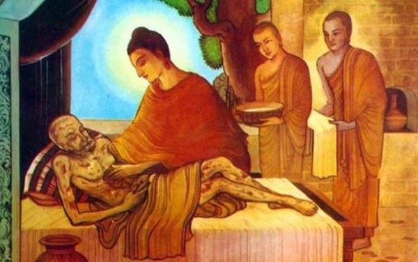 杀生为什么会有短命的果报？