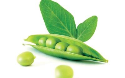 佛教中的智慧与慈悲