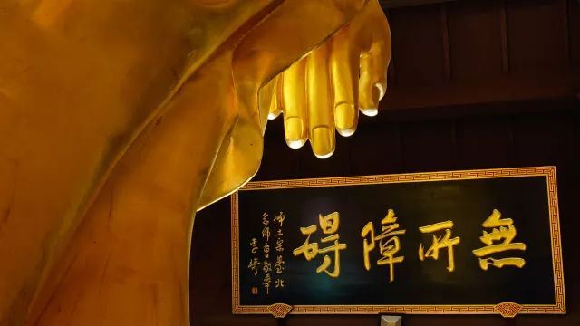 《离幸福很近》--来世生命及往生净土