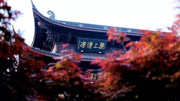 为什么不能随意对着佛像摄影？