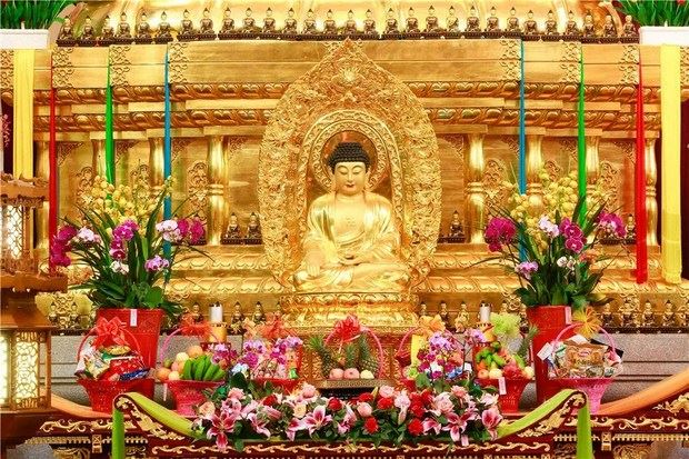 用生命为杀生买单