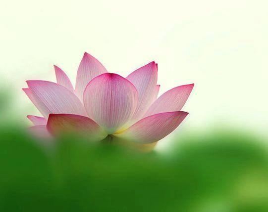 佛教中的“本性”是何意？既然是佛为何还要修行？