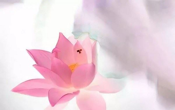 佛教“只关心来世，不关心今世”此话对吗