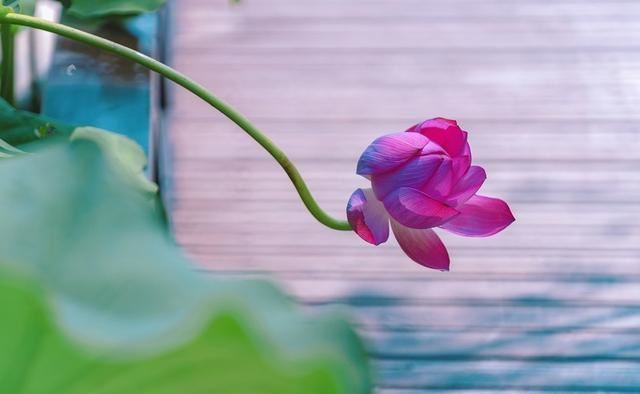 什么是超度？超度真的管用吗？