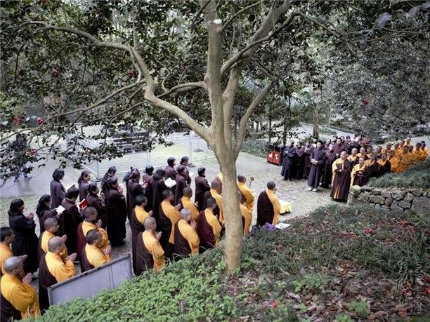 佛法是世界之光