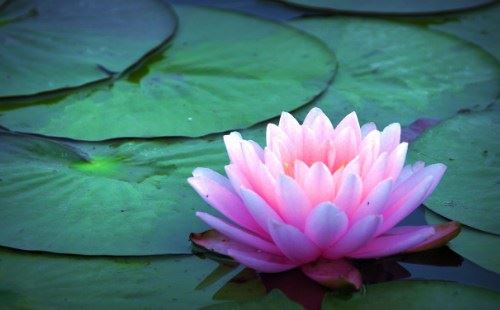 美国飞行员证实转世轮回的真实感应