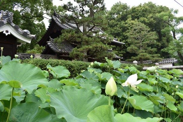 人生求得富贵，需要具备哪四个条件？