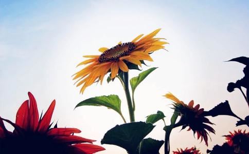 多识仁波切：最精辟的话解释因果报应规律