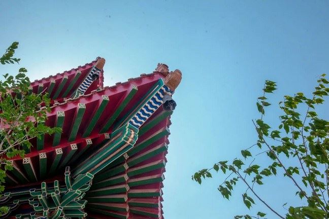 常敏法师微开示：我们念佛可以像大势至菩萨一样都摄六根、净念相继吗？