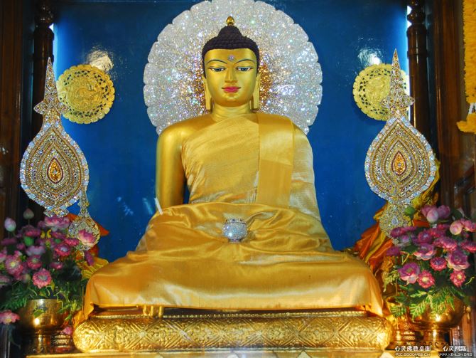 大家看到我流眼泪了，是不是看到经文伤心？