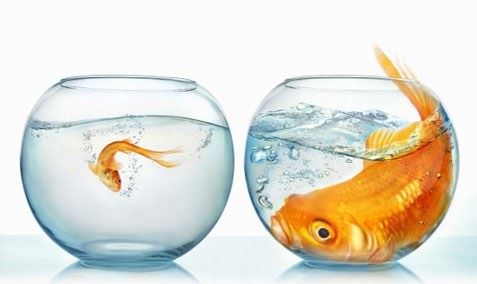 常敏法师答：我们也有佛性吗？