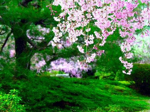 佛教所说的六根本烦恼有哪些