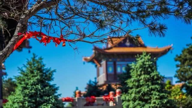 因宿世恶业他本短命无子，今行善积德终改命