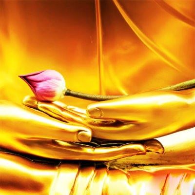 成佛之道就是悟真求实